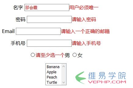 PHP应用：Yii框架中jquery表单验证插件用法示例