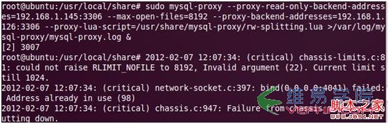 Mysql入门Ubuntu10下如何搭建MySQL Proxy读写分离探讨