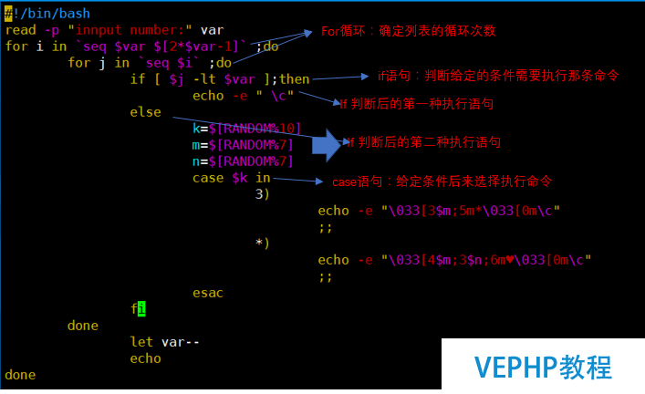 LINUX实操：Linux里的循环语句