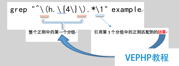 LINUX教学:grep文本过滤工具与正则表达式