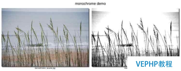 monochrome example