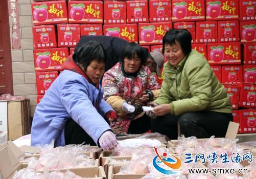 陕州区：调优产业助民增收