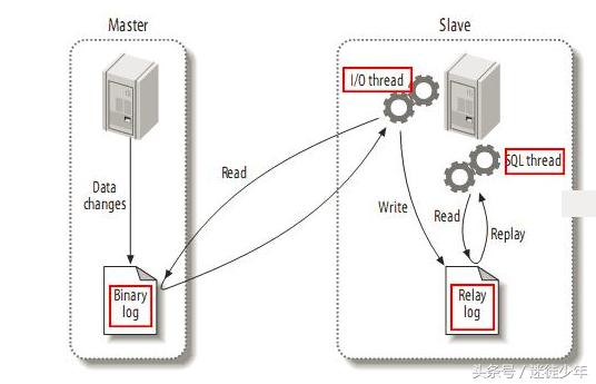 mysql主从复制的原理