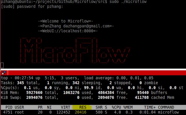 SDN实战团分享(二十九)：Microflow性能调优分享