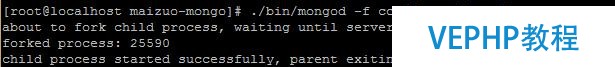 10分钟学完Mongodb