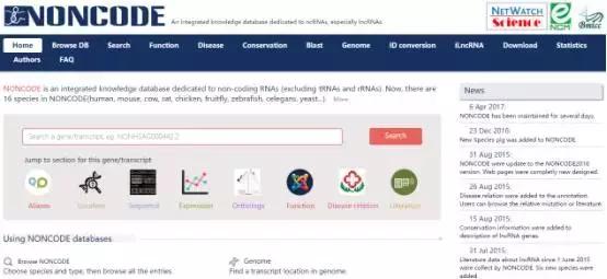 NONCODE数据库使用指南｜一款好用的lncRNA数据库