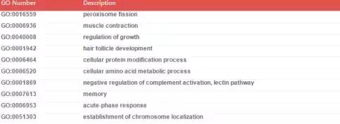 NONCODE数据库使用指南｜一款好用的lncRNA数据库