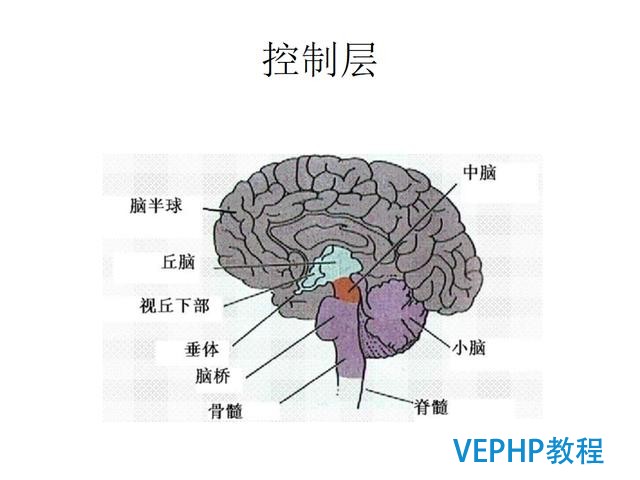 技术流丨PostgreSQL 物联网行业应用分析