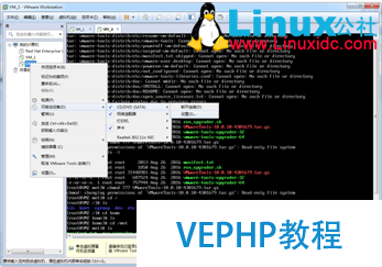非桌面版Linux 安装VMWare Tools