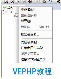 LINUX实战：SecureCRT中文显示乱码