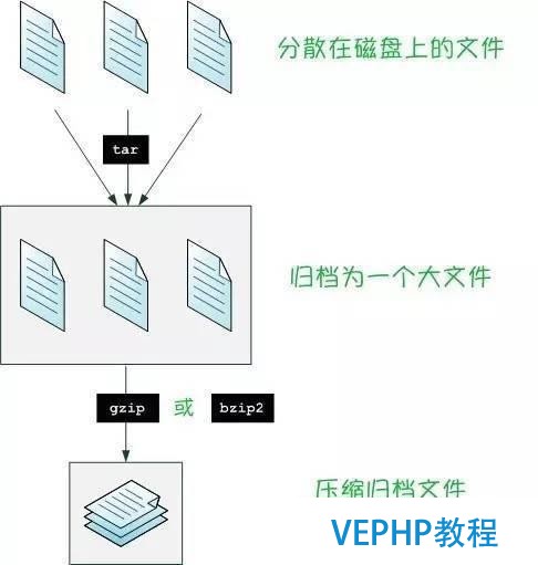 LINUX实战：Linux探索之旅 | 第四部分第一课：压缩文件，解压无压力