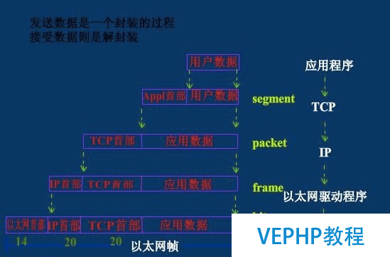 LINUX教学:计算机基础系列教程三：网络基础之网络协议